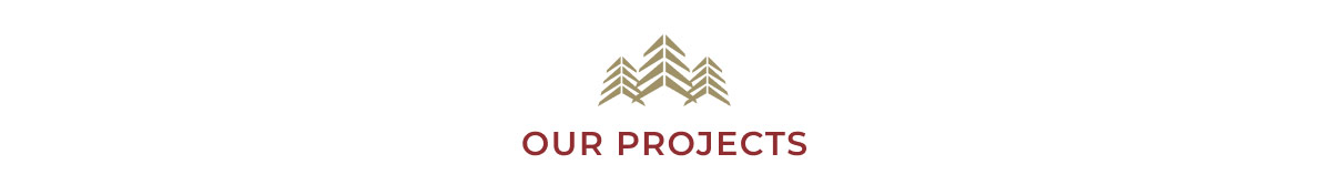 our projects